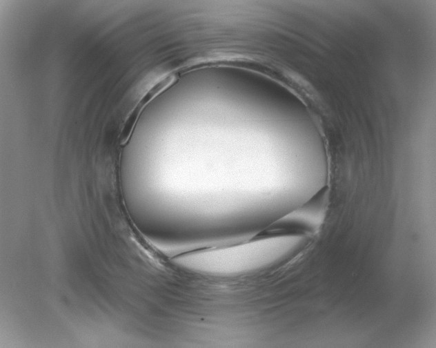 X0000081601177200701291353