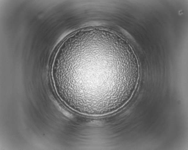 X0000081601178200701291353