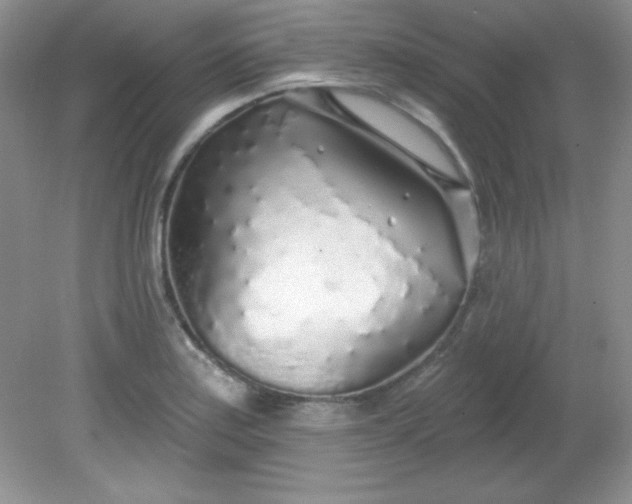 X0000081601179200701291353