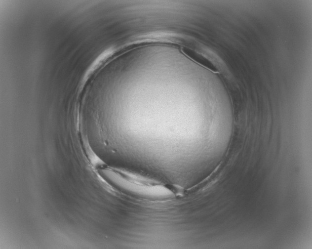 X0000081601180200701291353