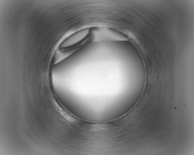 X0000081601181200701291353