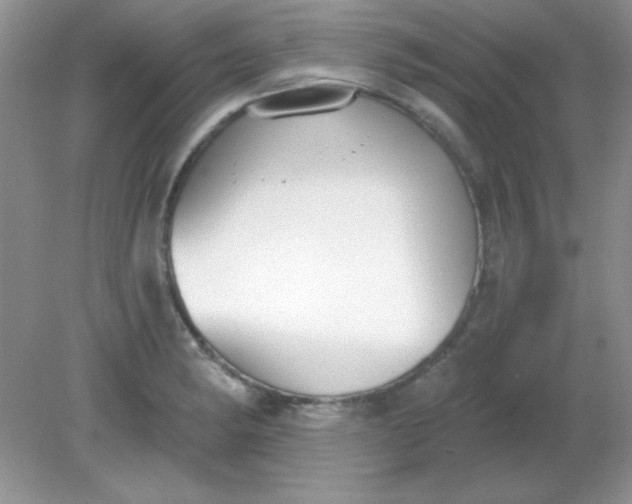 X0000081601182200701291353