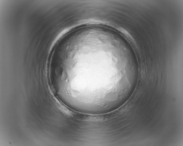 X0000081601183200701291353