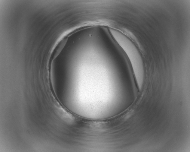 X0000081601184200701291353