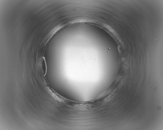 X0000081601185200701291353