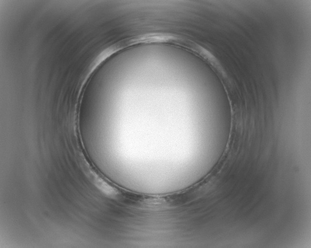 X0000081601186200701291353