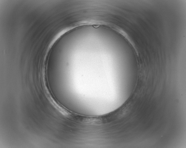 X0000081601187200701291353