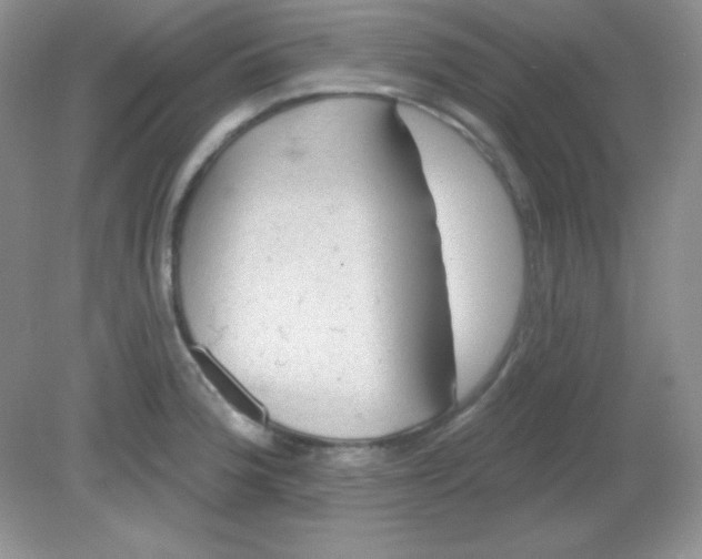 X0000081601188200701291353