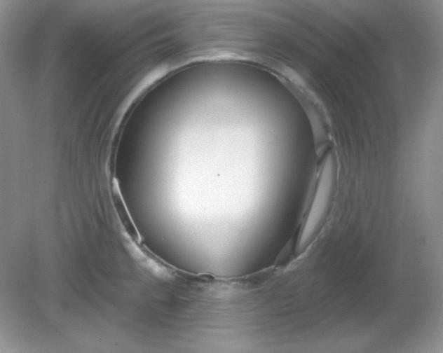 X0000081601189200701291353