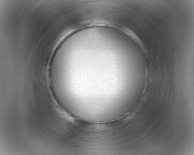 X0000081601190200701291353