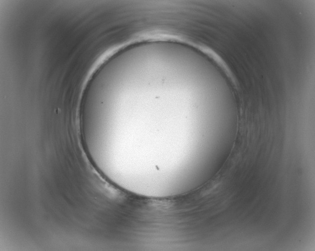 X0000081601191200701291353