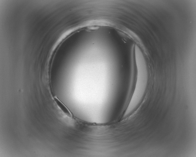 X0000081601192200701291353