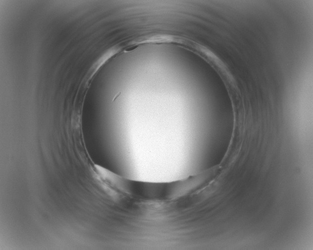 X0000081601193200701291353