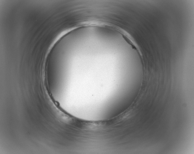 X0000081601195200701291353