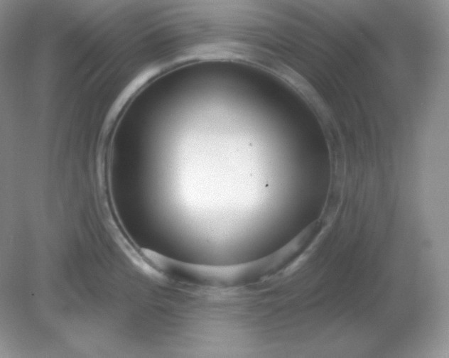 X0000081601196200701291353