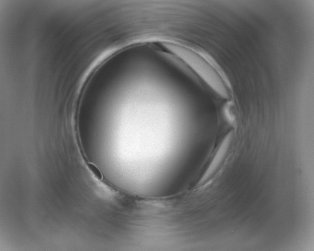 X0000081601197200701291353