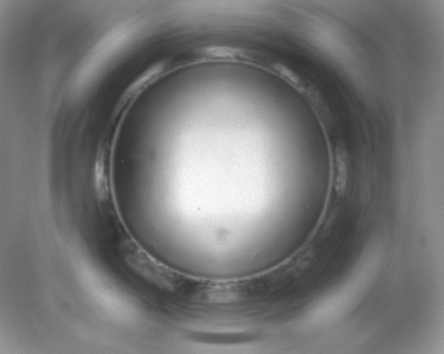 X0000081601198200701291353