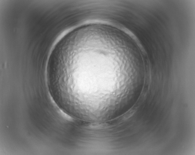 X0000081601199200701291353