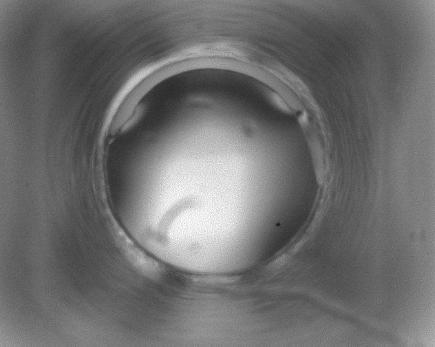 X0000081601200200701291353