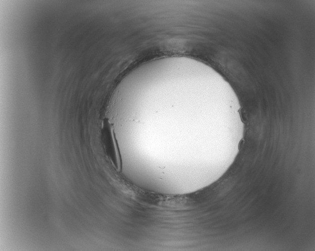 X0000081601201200701291352