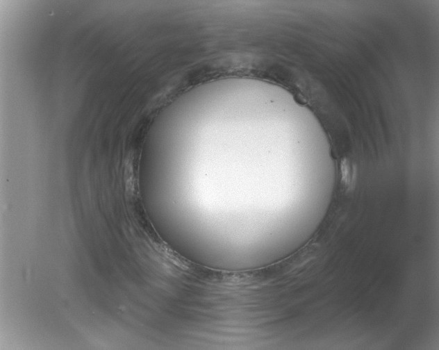 X0000081601203200701291352