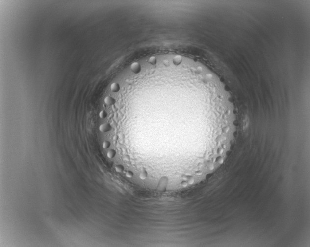 X0000081601204200701291352