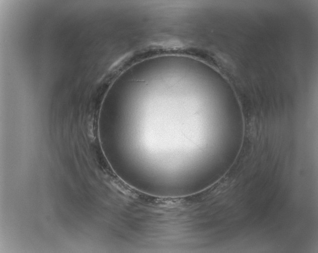 X0000081601205200701291352