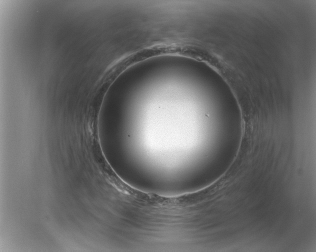 X0000081601206200701291352