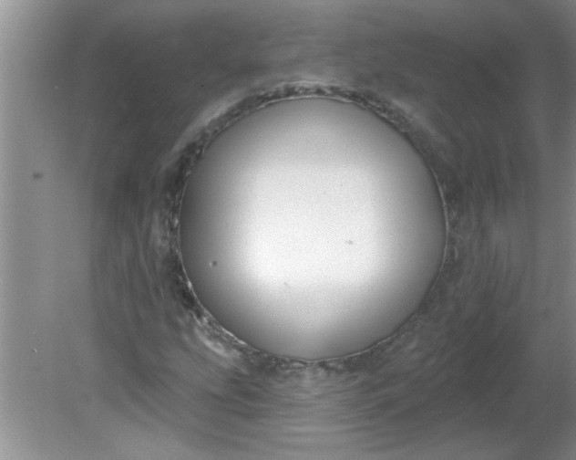 X0000081601207200701291352