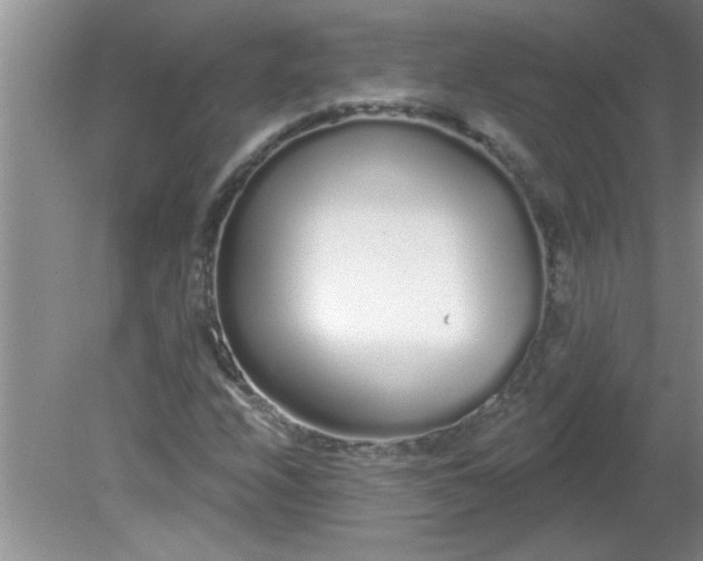 X0000081601208200701291352