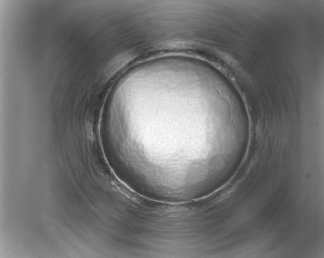 X0000081601209200701291352