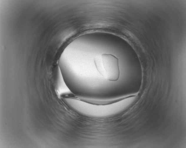 X0000081601210200701291352