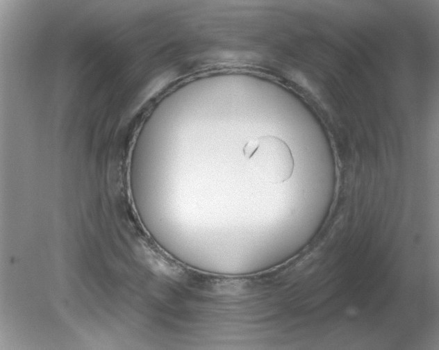 X0000081601211200701291352