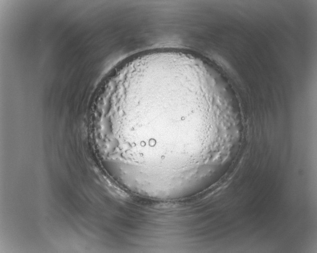 X0000081601212200701291352