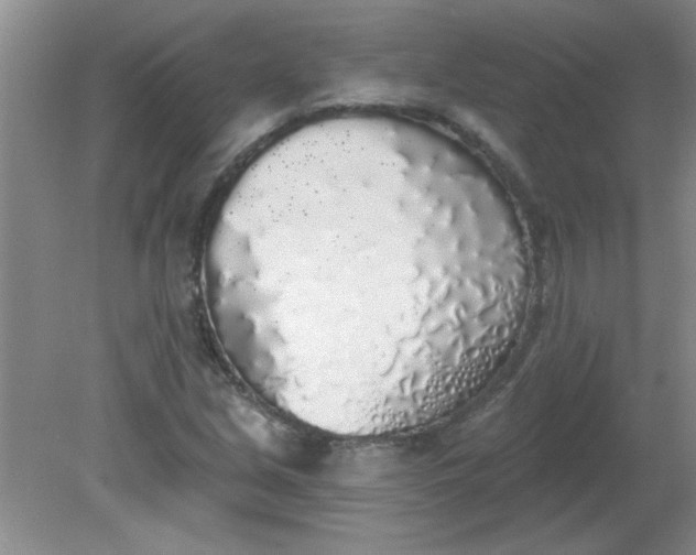 X0000081601213200701291352