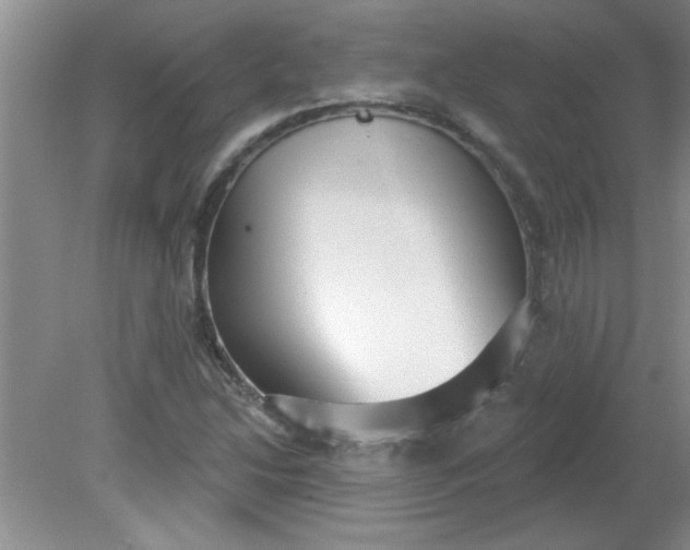 X0000081601214200701291352