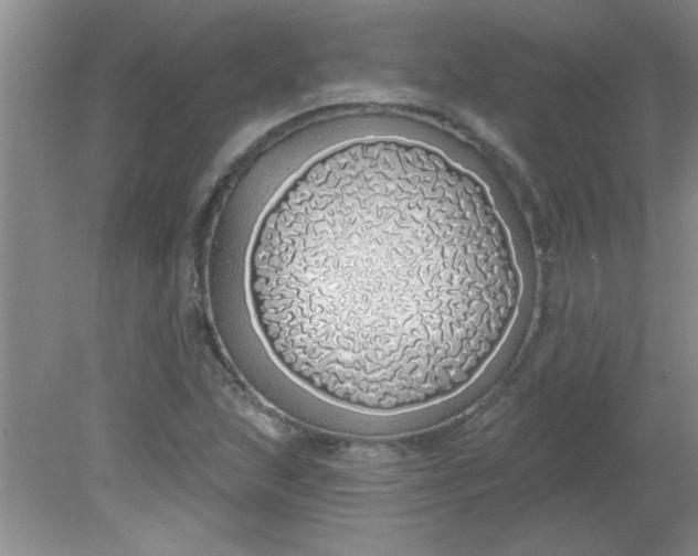 X0000081601215200701291352