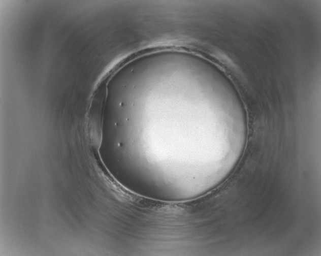 X0000081601216200701291352