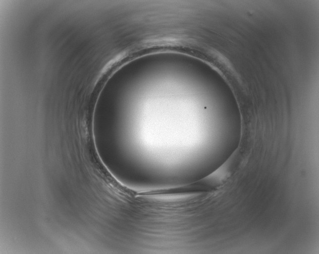 X0000081601218200701291352