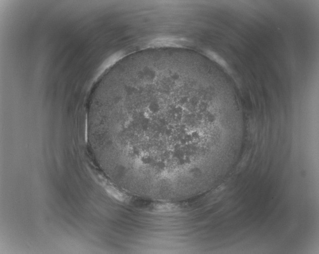 X0000081601219200701291353