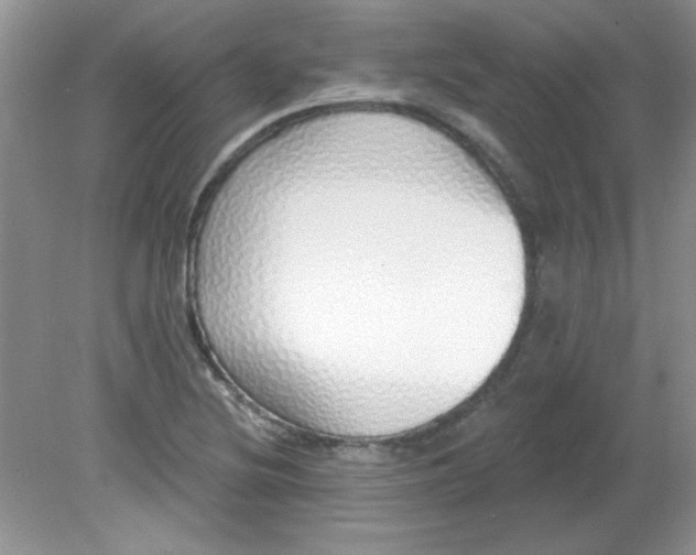 X0000081601220200701291353