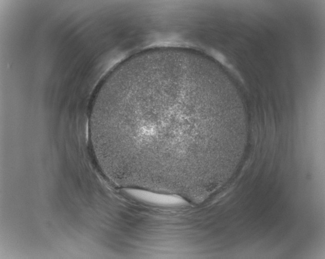 X0000081601221200701291353