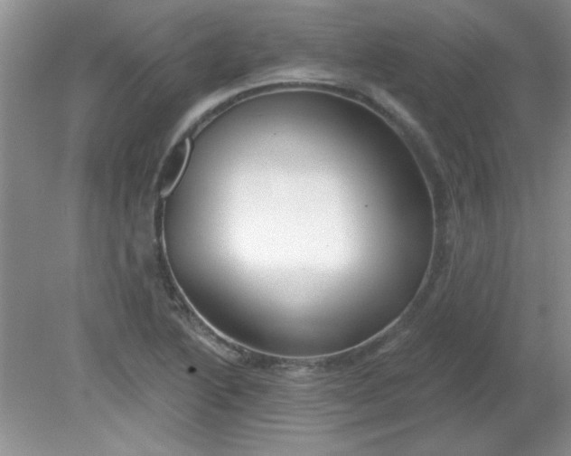 X0000081601222200701291353