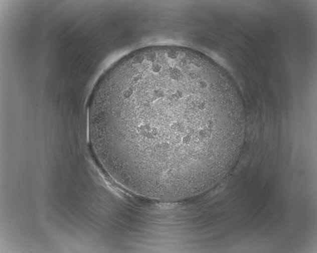 X0000081601223200701291353