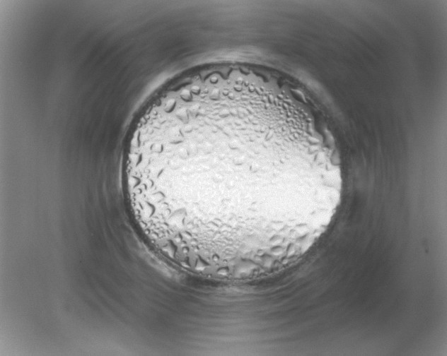 X0000081601224200701291353