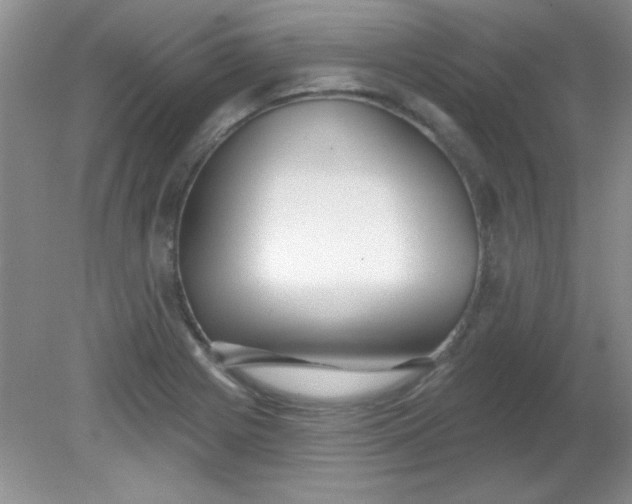 X0000081601225200701291353