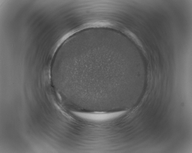 X0000081601226200701291353