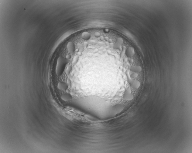 X0000081601227200701291353