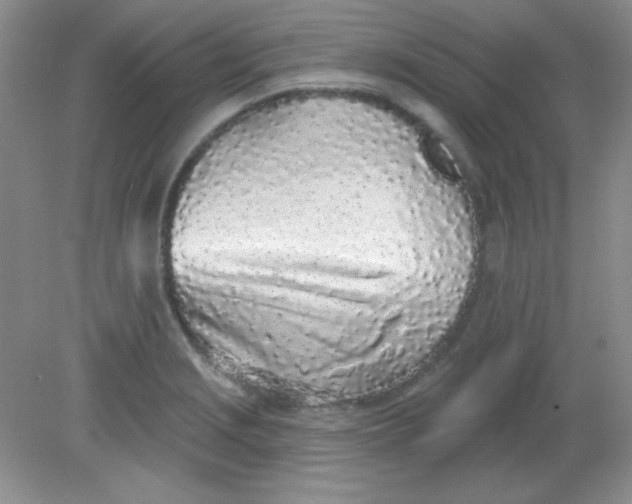 X0000081601229200701291353