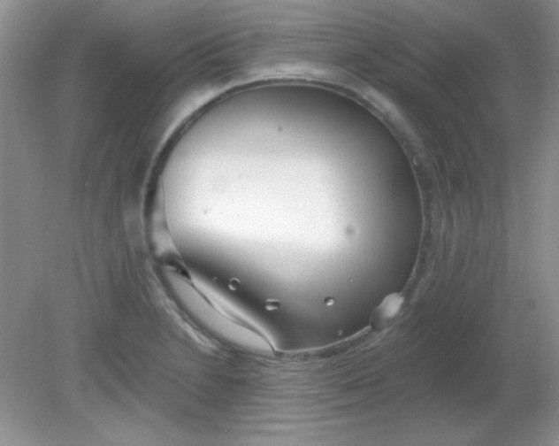 X0000081601230200701291353